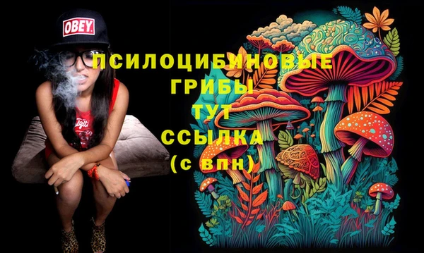 ешки Абаза
