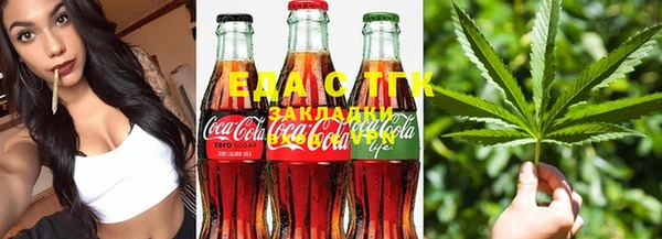 стаф Алзамай