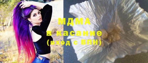 гашик Алексин