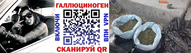 где продают наркотики  mega зеркало  Галлюциногенные грибы Psilocybine cubensis  Усмань 